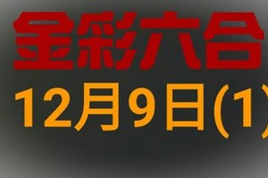 ◆金彩六合◆六合彩 12月9日連開孤支版路 （1）