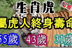 生肖虎：屬虎人終身壽命，尤其是55歲，43歲，31歲的，超準！