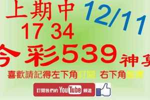 [今彩539神算] 12月11日 上期中17 34 5支 單號定位 雙號 拖牌