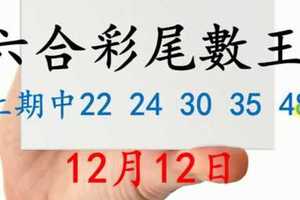 六合彩尾數王 12月12日 上期中22 24 30 35 48 版路預測版本1 準9進10 不斷版