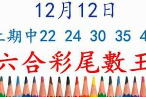 六合彩尾數王 12月12日 上期中22 24 30 35 48 版路預測版本3 準9進10 不斷版