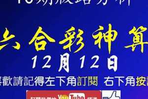 [六合彩神算] 12月12日 2支 10期版路分析