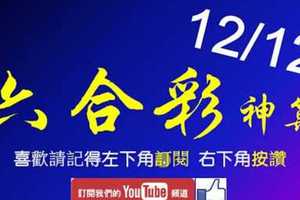 [六合彩神算] 12月12日 3支 單號定位 雙號 拖牌