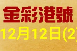 %金彩港號% 六合彩 12月12日多期版路號碼(2)