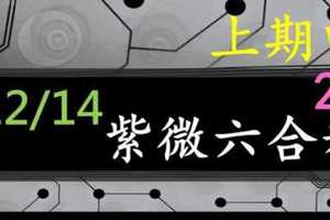 紫微六合彩 12月14日 上期中29 紫微抖抖3星版路