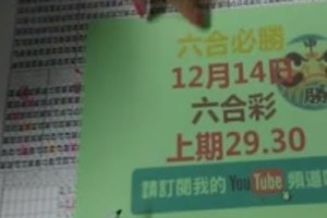 六合必勝上期-29.30]12月14日六合彩號碼版路2版