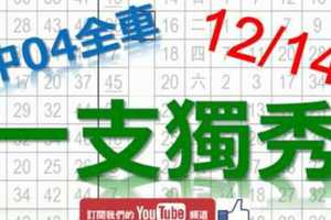 12月14日 六合彩研究院 上期中04獨支全車 一支獨秀 沒有別支 版路