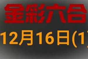 金彩六合◆六合彩 12月16日連開孤支版路 （1）