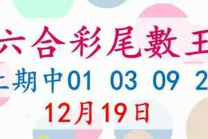 六合彩尾數王 12月19日 上期中01 03 09 28 版路預測版本2 準11進12 不斷版