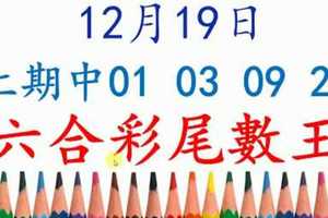 六合彩尾數王 12月19日 上期中01 03 09 28 版路預測版本3 準9進10 不斷版