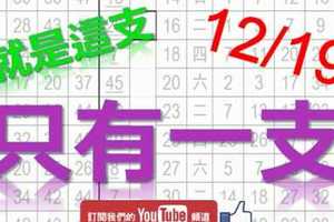 12月19日 六合彩研究院 只有一支 就是這支 版路