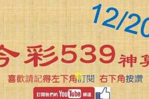 今彩539神算] 12月20日 5支 單號定位 雙號 拖牌