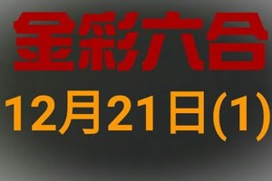 ◆金彩六合◆六合彩 12月21日連開孤支版路 （1）