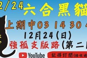 孤支版[上期中03 14 30 47]六合彩黑貓(12月24號)六合彩預測版路(第二版)