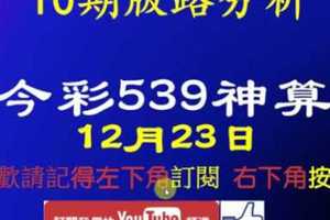 [今彩539神算] 12月23日 2支 10期版路分析