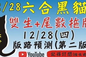 六合彩黑貓(12月28號)六合彩預測版路(第二版)[雙生+尾數]