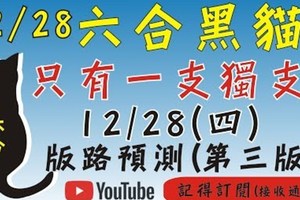 獨支只有一支] 六合彩黑貓(12月28號) 六合彩預測版路(第三版)