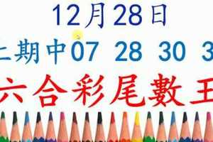 六合彩尾數王 12月28日 上期中07 28 30 37 版路預測版本3 準9進10 不斷版