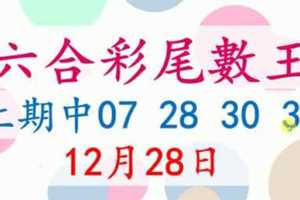 六合彩尾數王 12月28日 上期中07 28 30 37 版路預測版本2 準9進10 不斷版