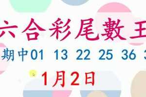 六合彩尾數王 1月2日 上期中01 13 22 25 36 37 版路預測版本2 準11進12 不斷版