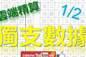 六合彩大數據 1月2日 獨支數據 雲端精算 版路