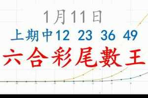 六合彩尾數王 1月11日 上期中12 23 36 49 版路預測版本4 準9進10 不斷版