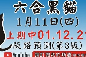 [孤支孤碰][上期中 01 12 21]六合彩黑貓(1月11號)六合彩預測版路(第3版)