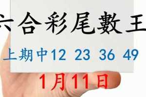 六合彩尾數王 1月11日 上期中12 23 36 49 版路預測版本1 準16進17 不斷版