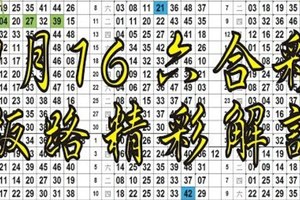 六合太極 1/16六合彩版路預測解說