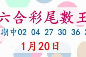 六合彩尾數王 1月20日 上期中02 04 27 30 36 37 版路預測版本2 準10進11 不斷版