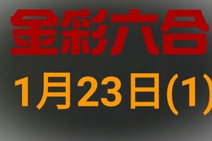 ◆金彩六合◆六合彩 1月23日連開孤支版路 （1）