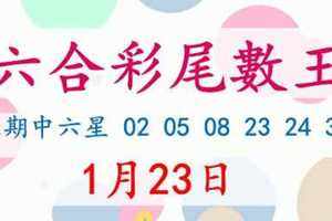 六合彩尾數王 1月23日 上期中六星 02 05 08 23 24 34 版路預測版本2 準13進14 不斷版