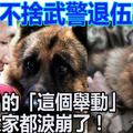 警犬不捨與自己朝夕相處的武警退伍離開，牠做出的「這個舉動」讓大家都淚崩了！