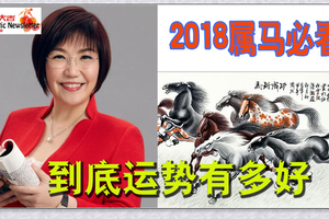 2018属马人财路大开事业旺盛大步前进