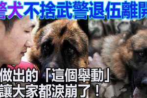 警犬不捨與自己朝夕相處的武警退伍離開，牠做出的「這個舉動」讓大家都淚崩了！