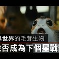 【影片】跳脫暗黑世界的毛茸生物　Porg能否成為下個星戰寵兒？