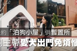 【影片】紐約「泊狗小屋」供暫置所　飼主帶愛犬出門免煩惱