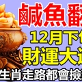 鹹魚翻身！12月中旬後，財運大通順，走路都會撿到錢的生肖 【88秒內轉發分享2018走好運！】