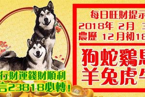 今天2月3日,每日旺財提示：狗蛇雞馬，羊兔虎牛。大行財運錢財順！留言23818必轉！      