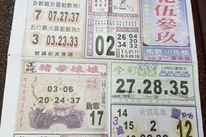 台北伍叁玖報 539  11月9日  10日 僅供參考