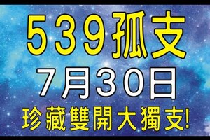 【今彩539】7月30日『珍藏雙開大獨支！』上期中31 獨門拖牌號碼！專業教學