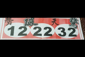 2/21勢破天驚，鐵版神算，石頭公，劉伯溫。539參考