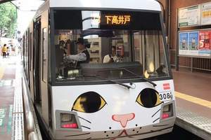 夠幸運才搭得到《招財貓電車》車廂內外都被滿滿的喵包圍(=^・^=)