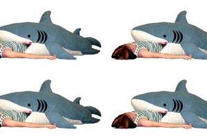 想睡就睡的《鯊魚睡袋》啊不就是個命案現場嗎