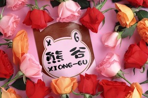 熊谷分享乎恁聽嘿!(華語)陳蘭麗_迎春花