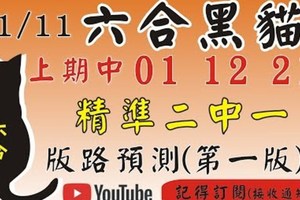 1/11(四)六合彩版路總集參考~~ 下期1/11才開請注意