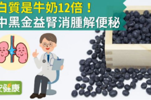 蛋白質是牛奶12倍！豆中黑金益腎消腫解便秘