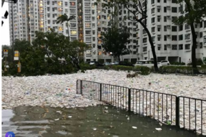 「大海還人類的」山竹走後香港變這樣