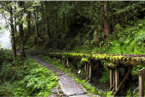 【趣吧】全台14條行山健行路線分級｜行山必讀健行路線：五級分類+秘境推薦 