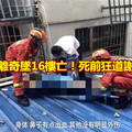 女童離奇墜16樓亡！死前狂道謝惹淚 